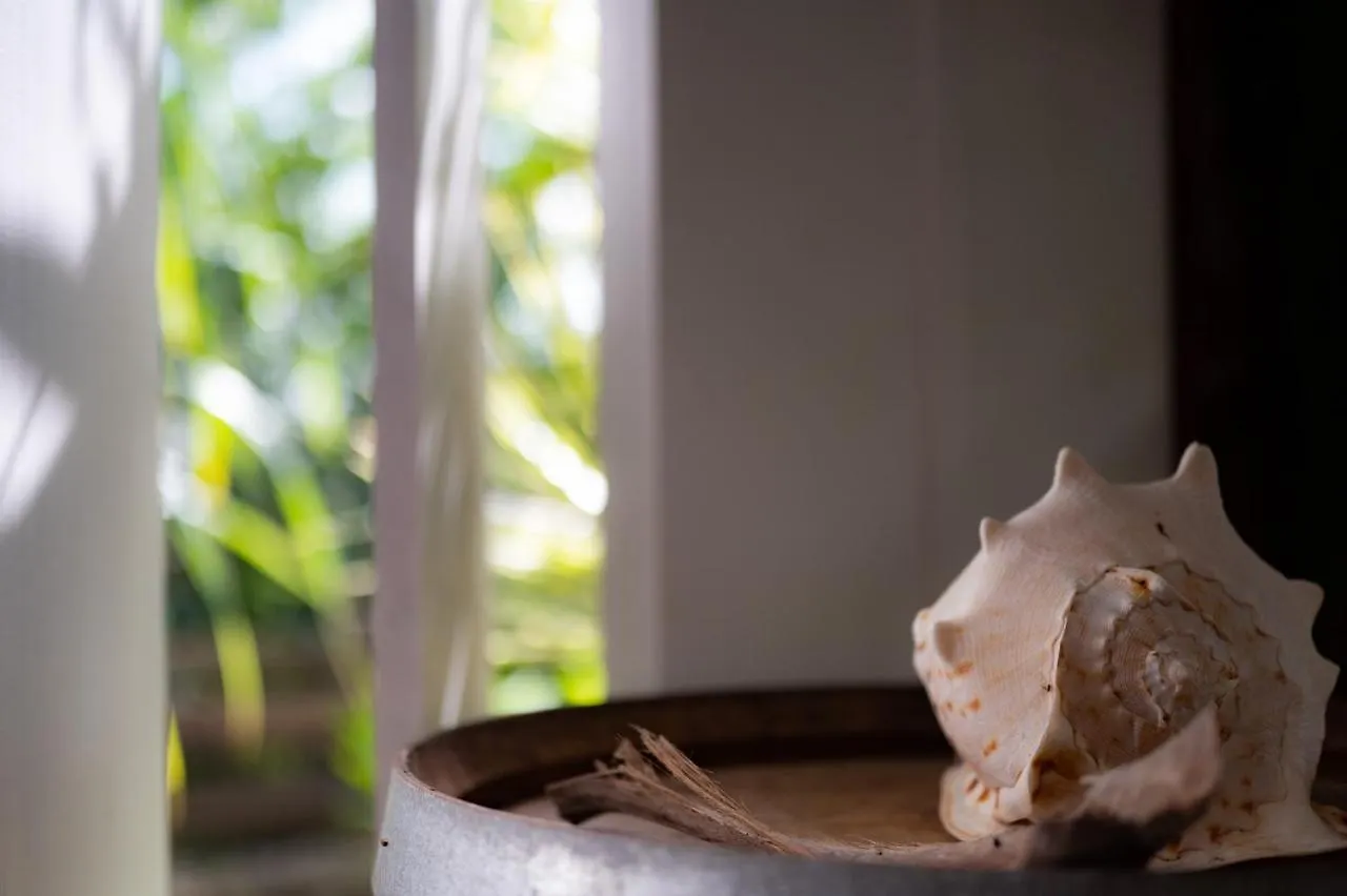 Bel Orizon Bungalow Tout Confort Avec Sa Piscine Privative Saint-Louis Guadeloupe